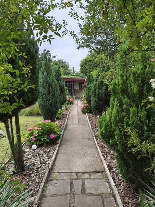 Ogródek działkowy 500m2 cena ostateczna