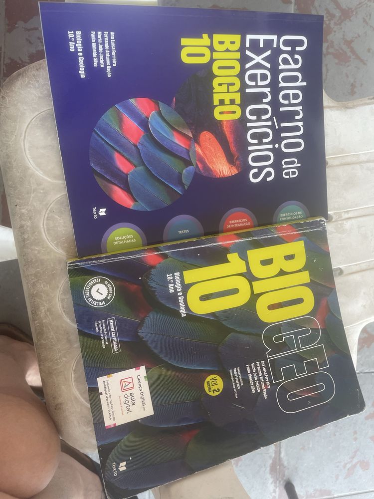 Manuais do 10 ano