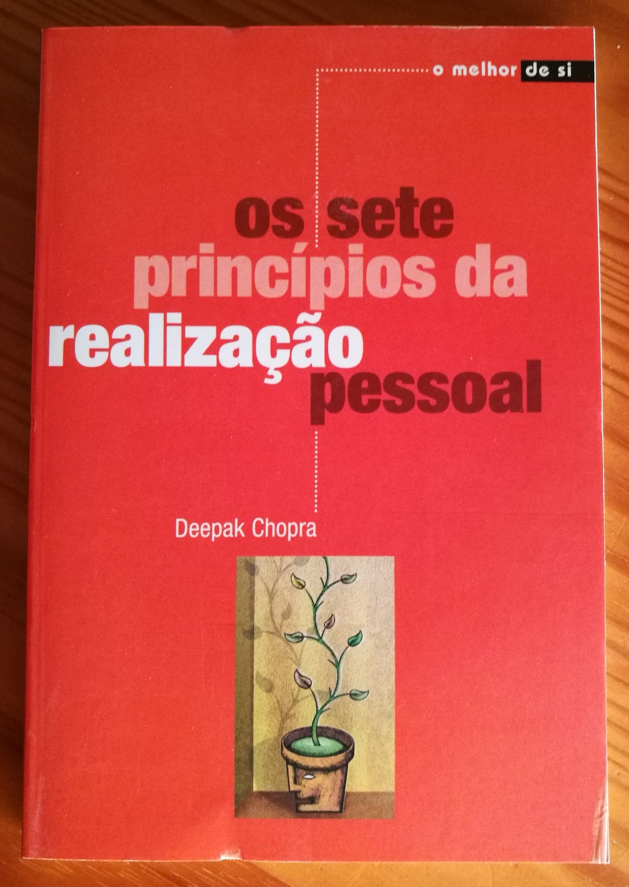 Os Sete Princípios da Realização Pessoal