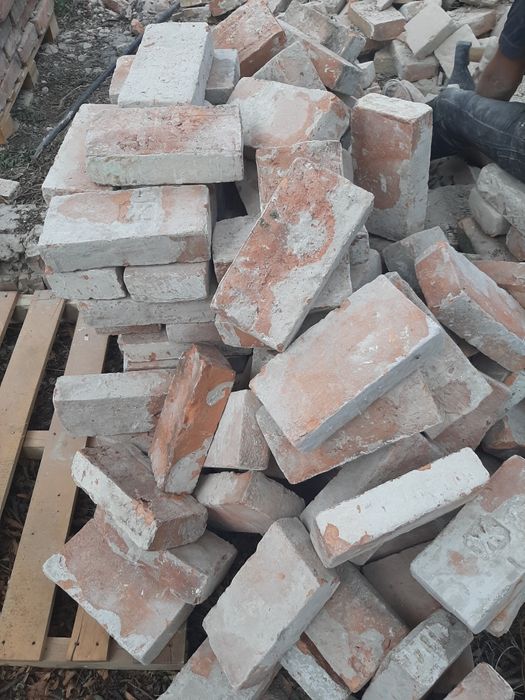 Продам Екатериненка