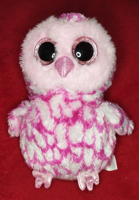 Mis sowa szuka nowego domu