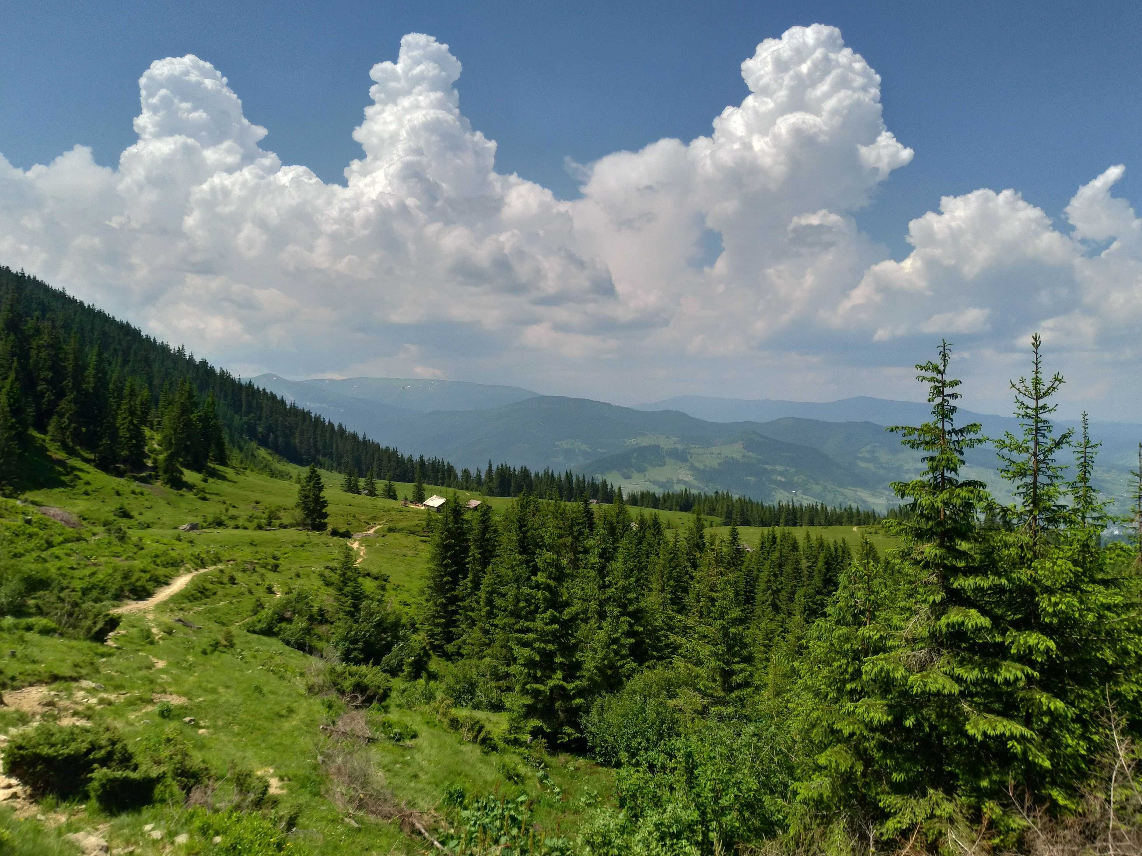 Ділянка 1,97га, полонина Печінжиска в Карпатах, Ясіня, Петрос