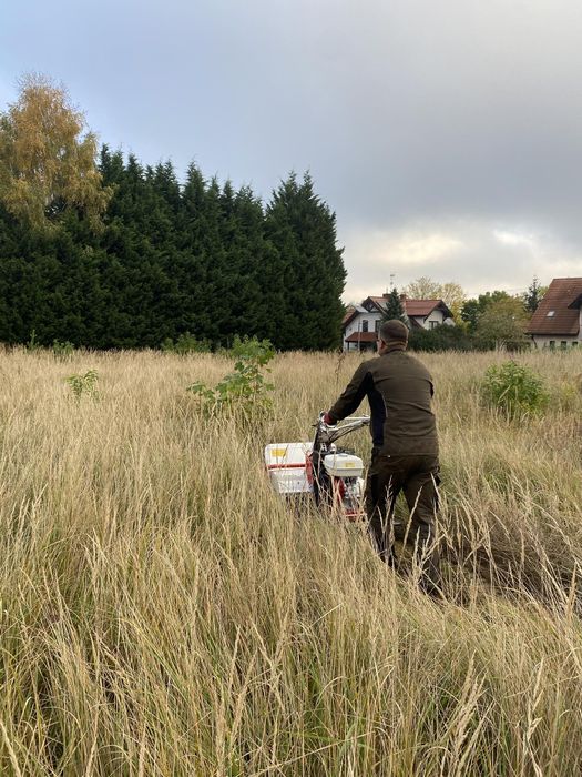 Karczowanie mulczowanie koszenie wysokich traw, nieużytków karczownica