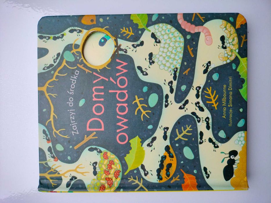 Książka "Domy owadów", Anna Milbourne, Simona Dimitri