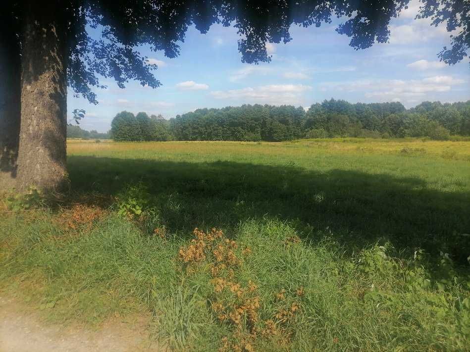 Działka 986 m2 Młodocin Większy k/ Radomia