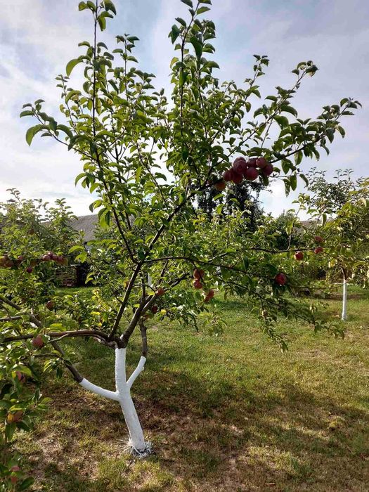 Продаж будинку в мальовничому місці біля водойми з гарним краєвидом
