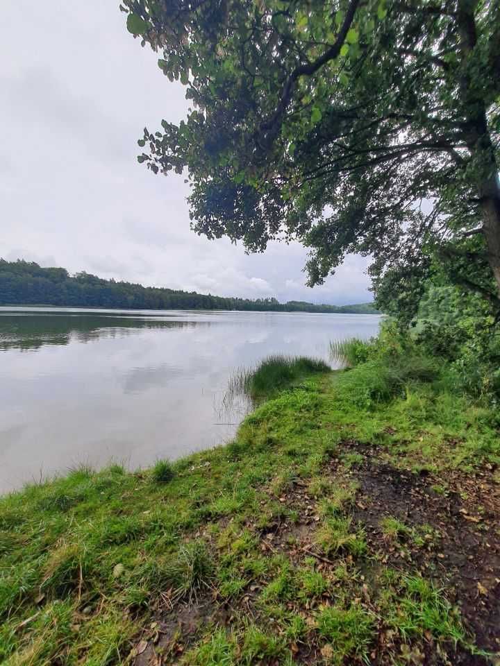 Borek Kamienny działka 3270 m2 nad jeziorem Gowidlino