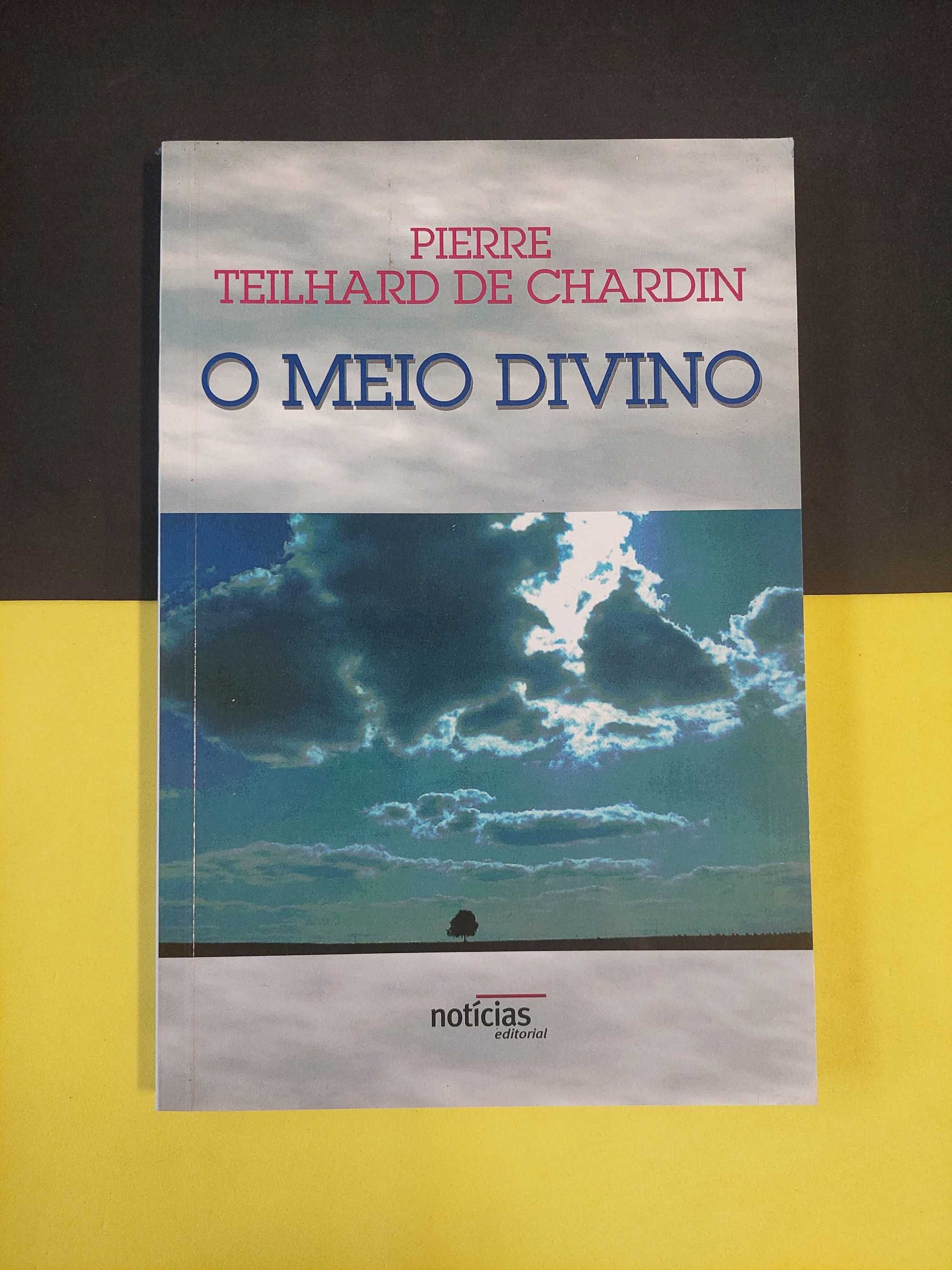 Pierre Teilhard de Chardin - O meio divino