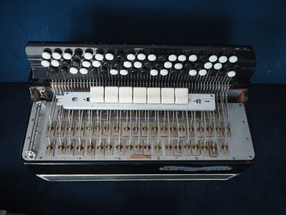 Akordeon guzikowy bajan koncert kanałowy