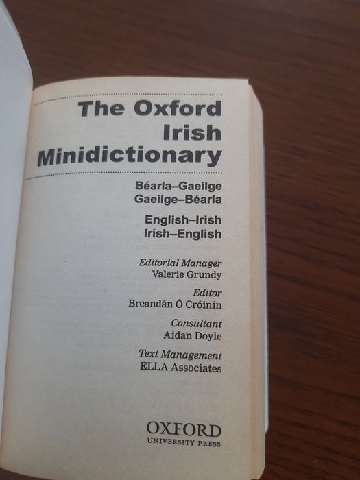 Mini słownik irlandzki