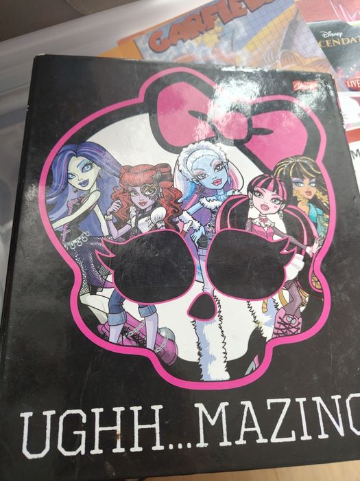 Karteczki do segregatora