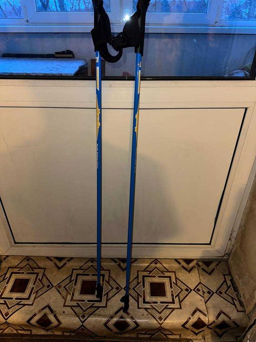 Продам палиці для скандианвської ходьби і чобітки для них