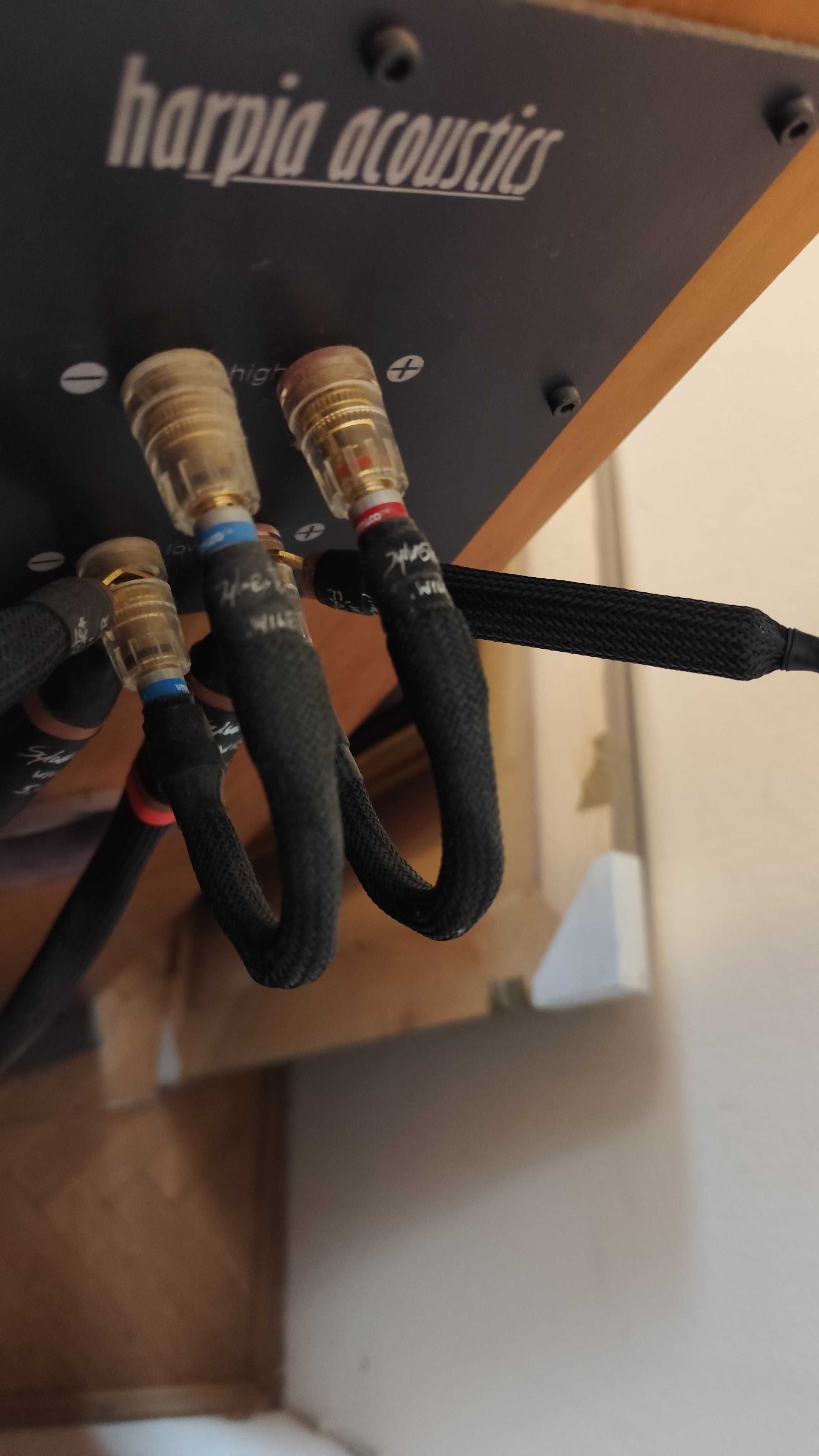 Harpia Acoustics Amstaff