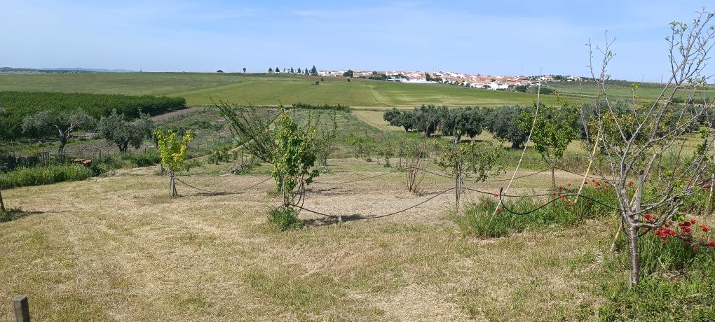 Terreno excelente para um Retiro