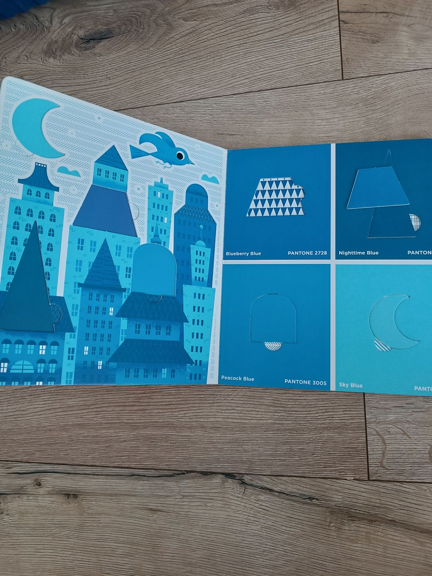Pantone color puzzles książka
