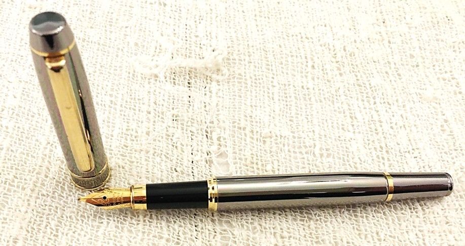 Fountain pen with unusual styles and mint condition