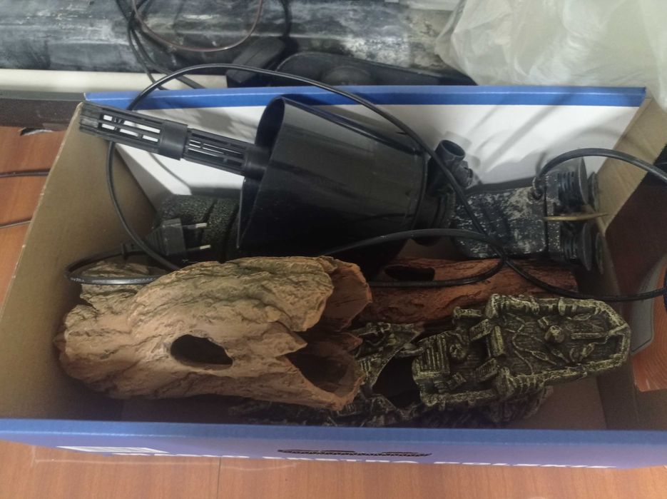 Akwarium z wyposażeniem