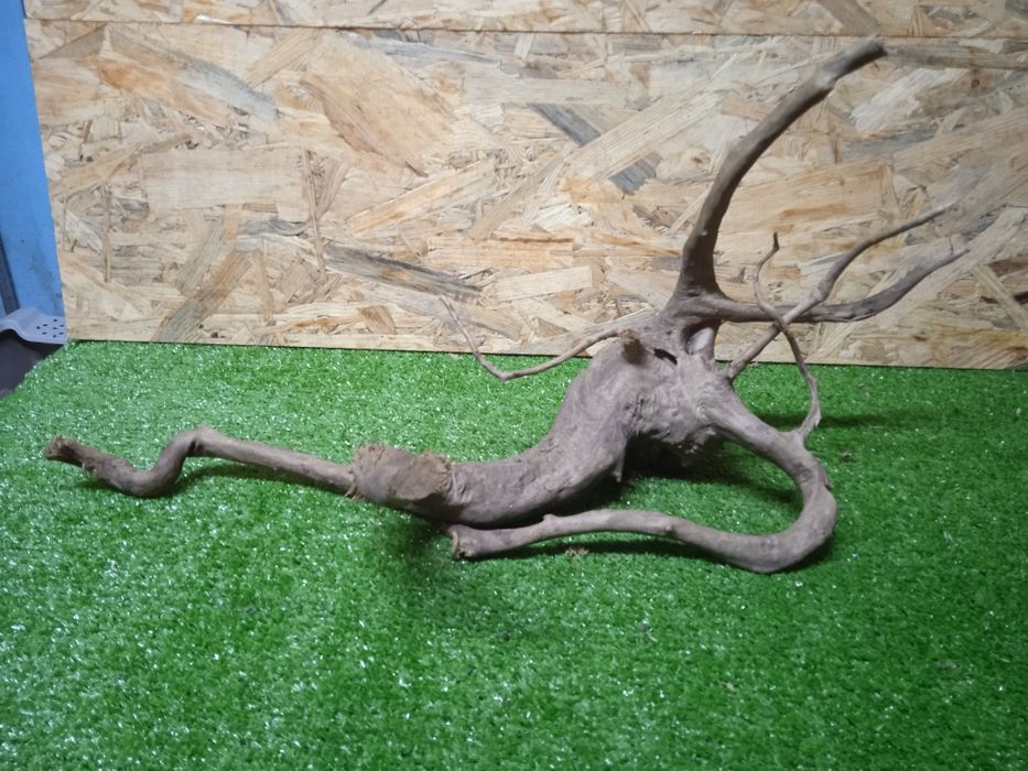 Korzeń do akwarium Red Moore Wood nr 354 o wymiarach 54/24/27