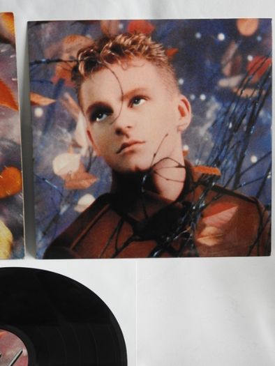 Erasure ‎Wild! LP UK пластинка Великобритания 1989 1 press EX