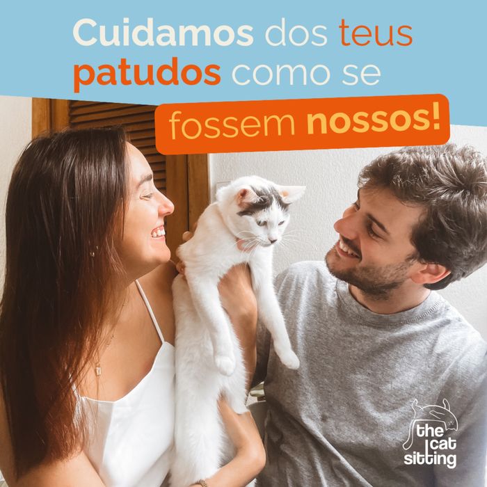 Cat Sitting | Estadia para Gatos