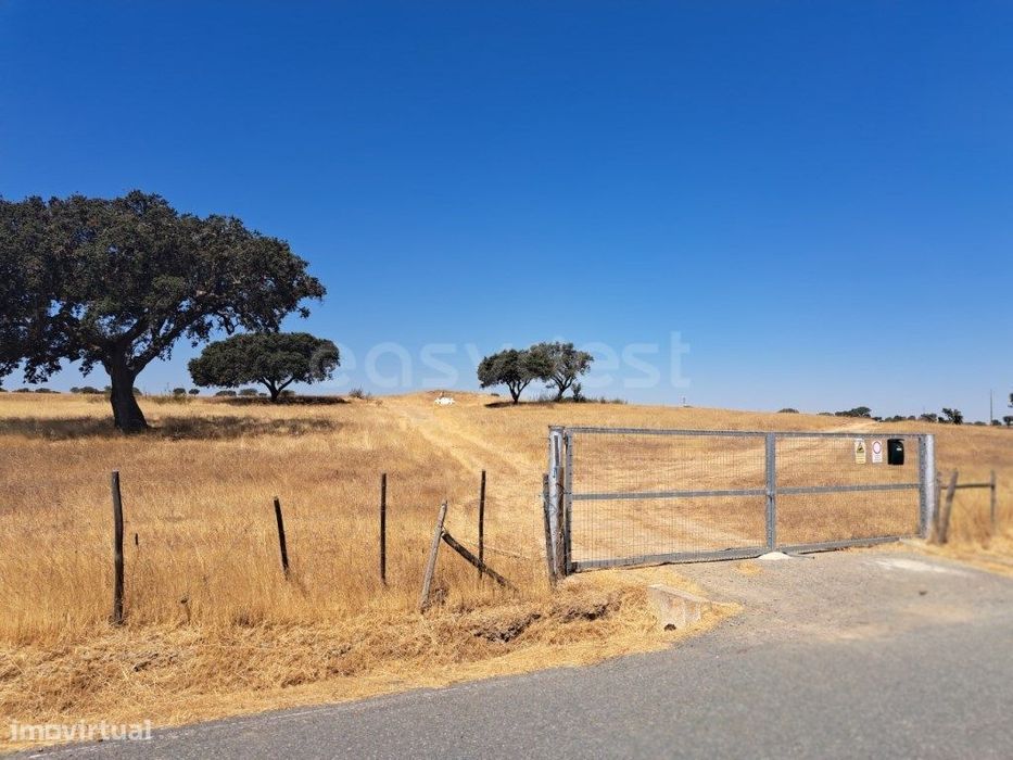 Terreno Rústico com 11 hectares no concelho de Almodôvar, totalment...