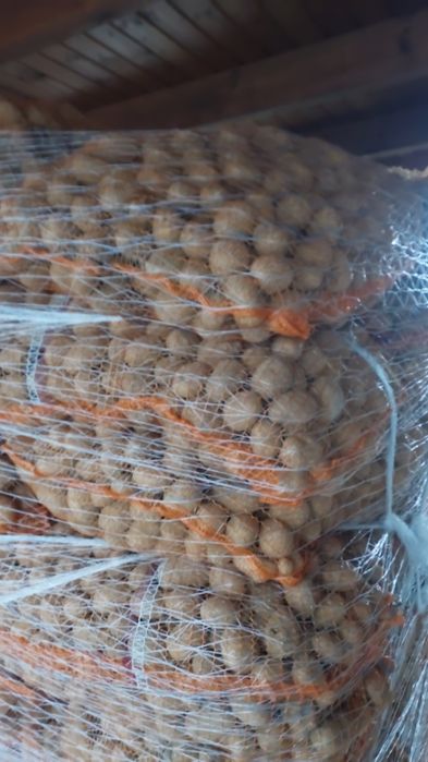 Sprzedam ziemniaki drobne