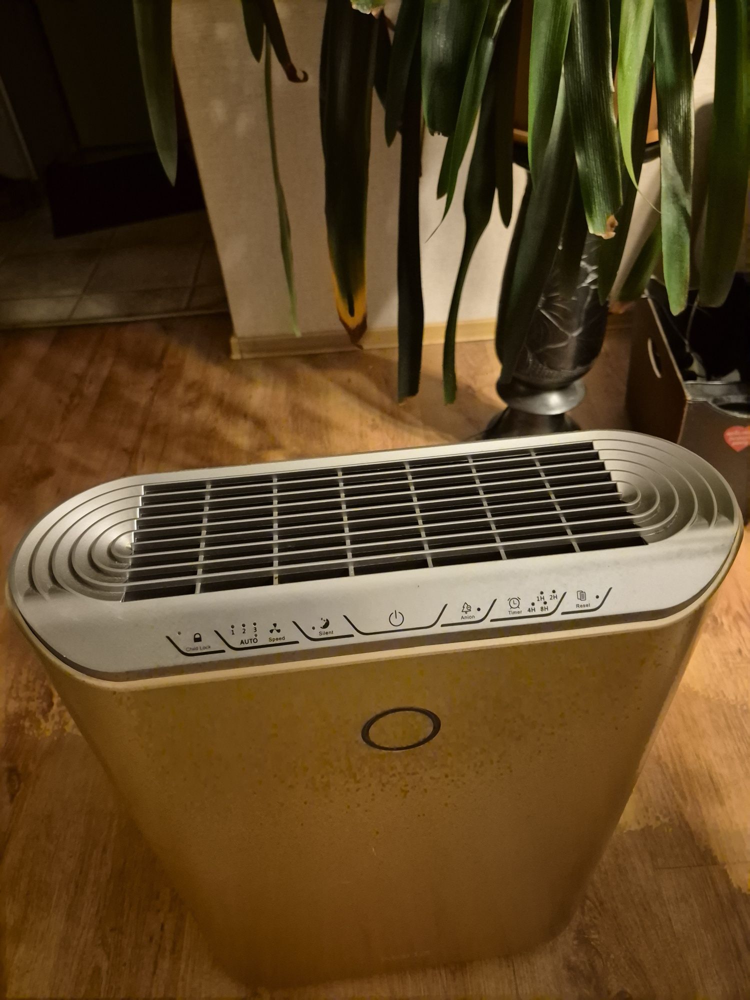 Klarta Stor Gold 2