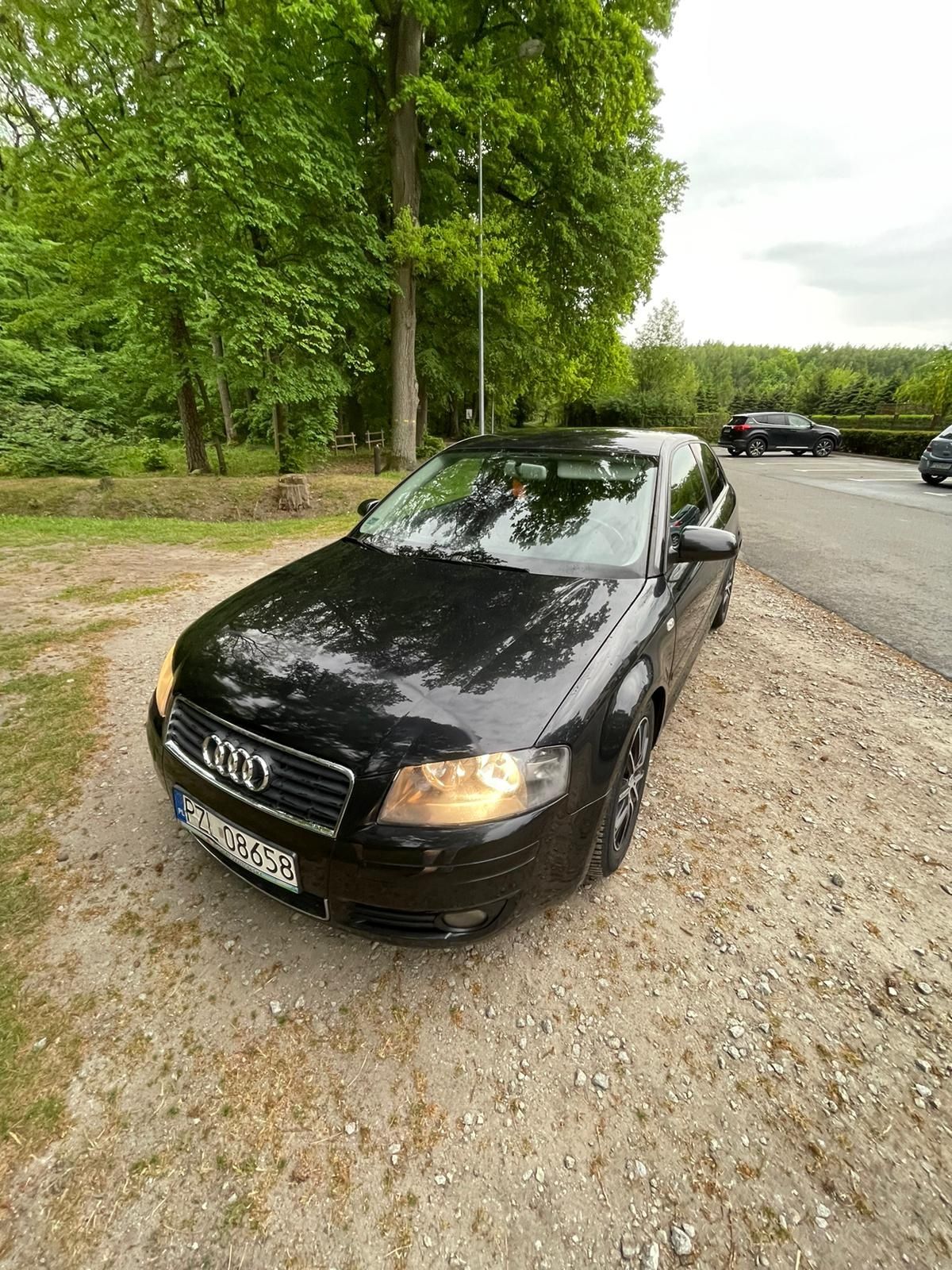 Audi a 3 8p uszkodzone