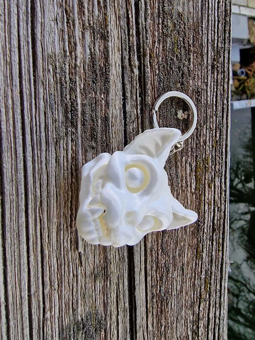 porta chaves cranios animais imprimido 3d