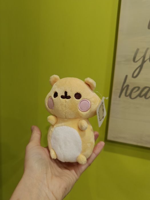 Pusheen chomik przyjaciel pusheena maskotka