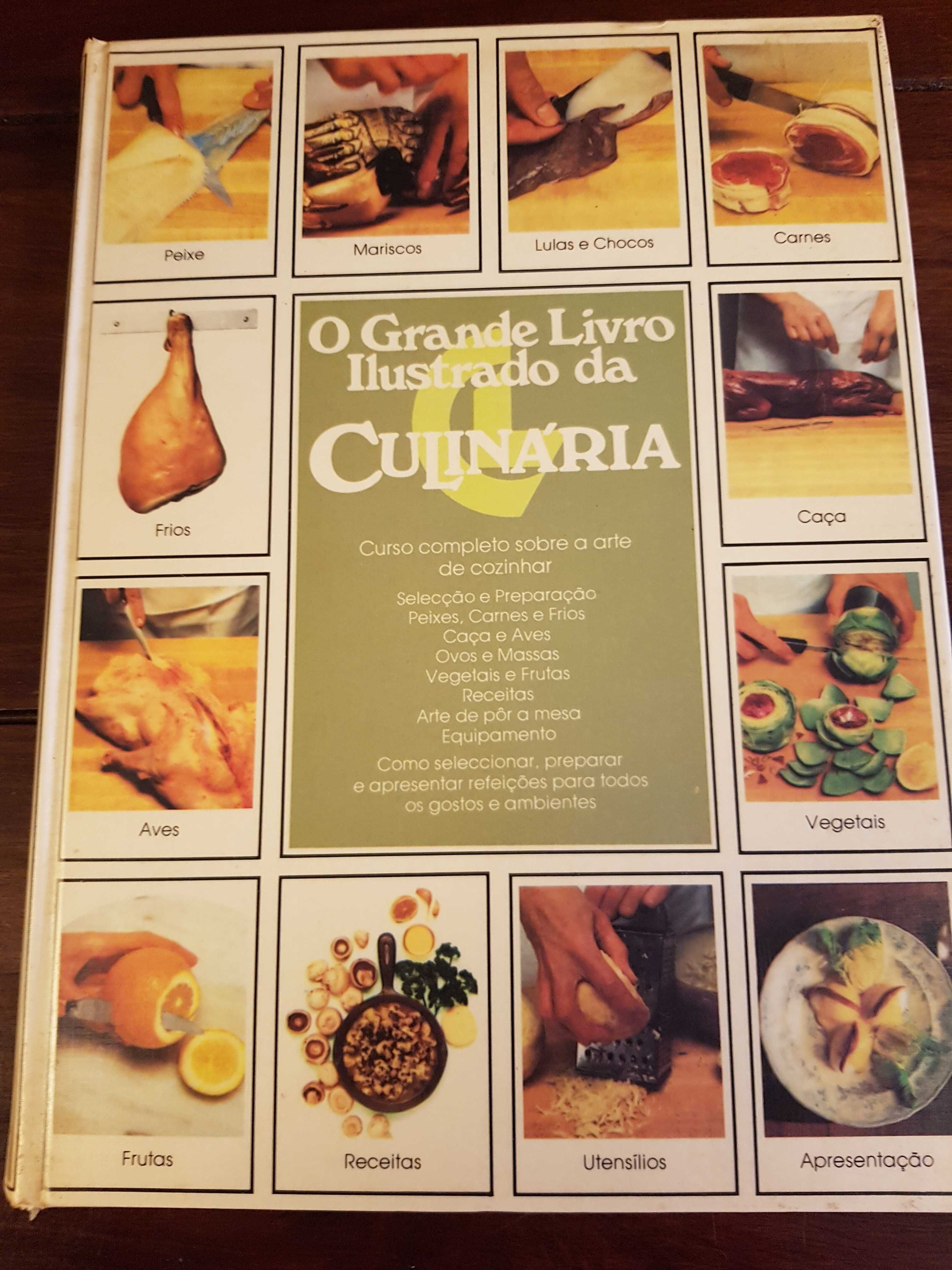 O Grande Livro Ilustrado da Culinária