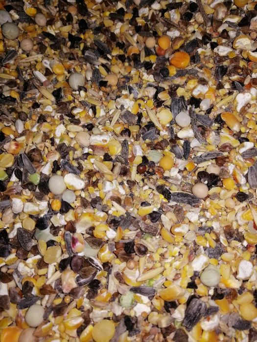 pasza mielona ,śruta paszowa dla bydła świń gęsi mix pasza otręby