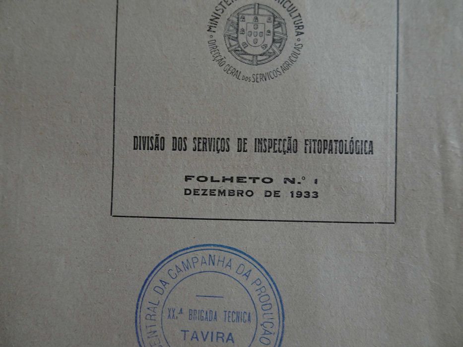 A formiga argentina - Métodos de a combater Ministério da Agricultura