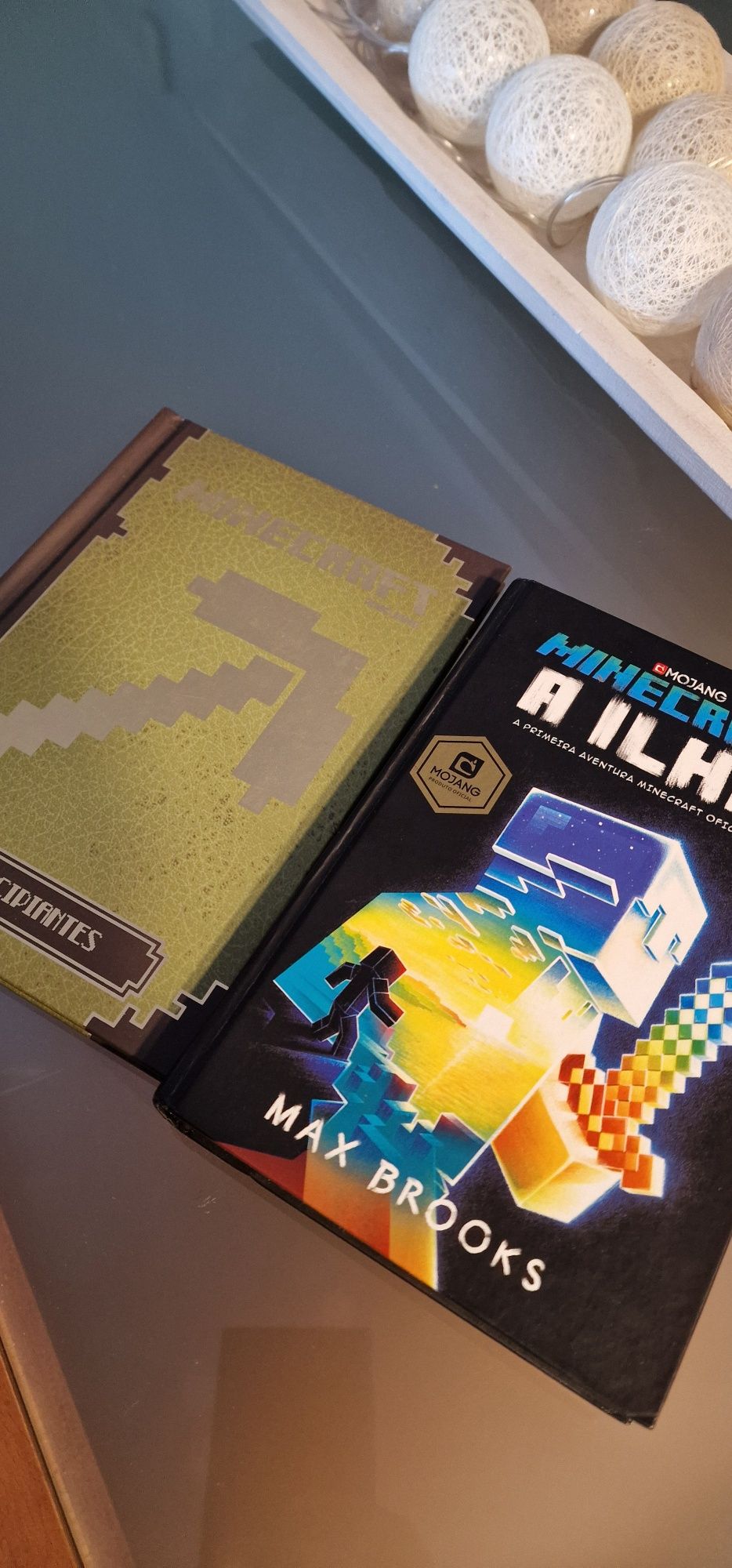 Conjunto de 2 livros Minecraft