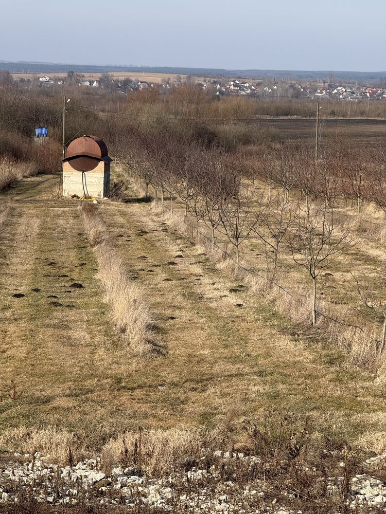 Продаж масиву ділянок с/г призначення , Львівщина