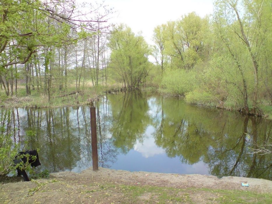 Велика Ділянка ЗЕЛЕНЬКИ ідеально під господарство або ферму, ТЕРМІНОВО
