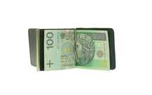Banknotówka skórzany portfel męski klips podwójny spinka brąz skóra