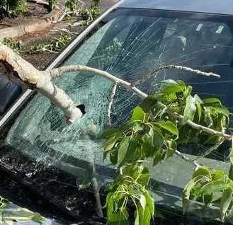 Автоскло для всіх марок авто | Продаж та заміна у Львові