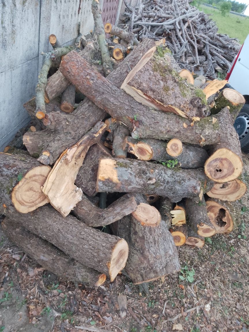 Drewno SOSNA LIPA JABLON Grusza owocowe ORZECH kominkowe opałowe