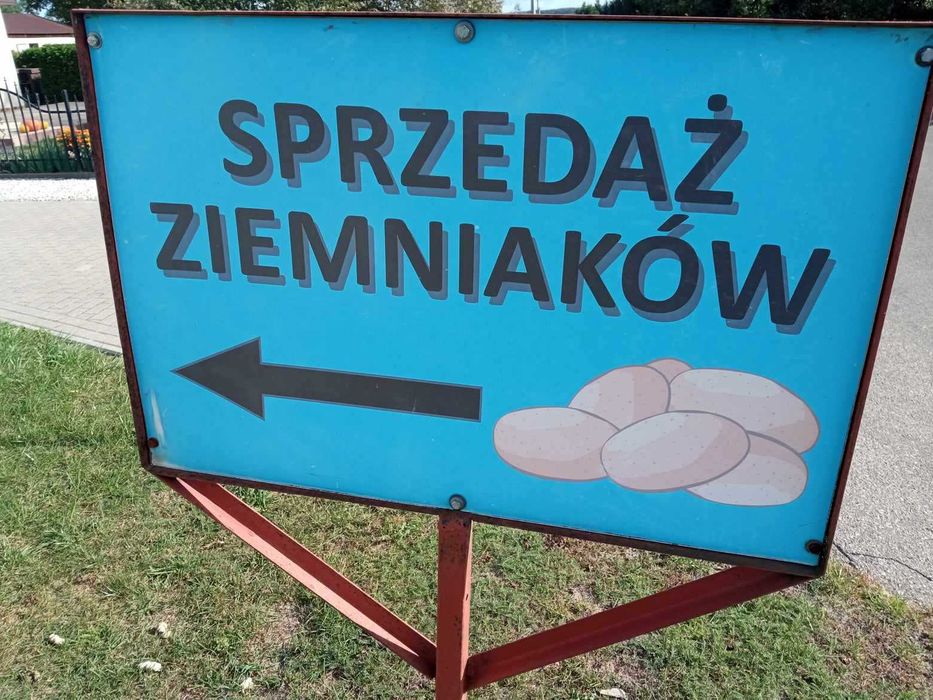 Ziemniaki jadalne sprzedaż całoroczna