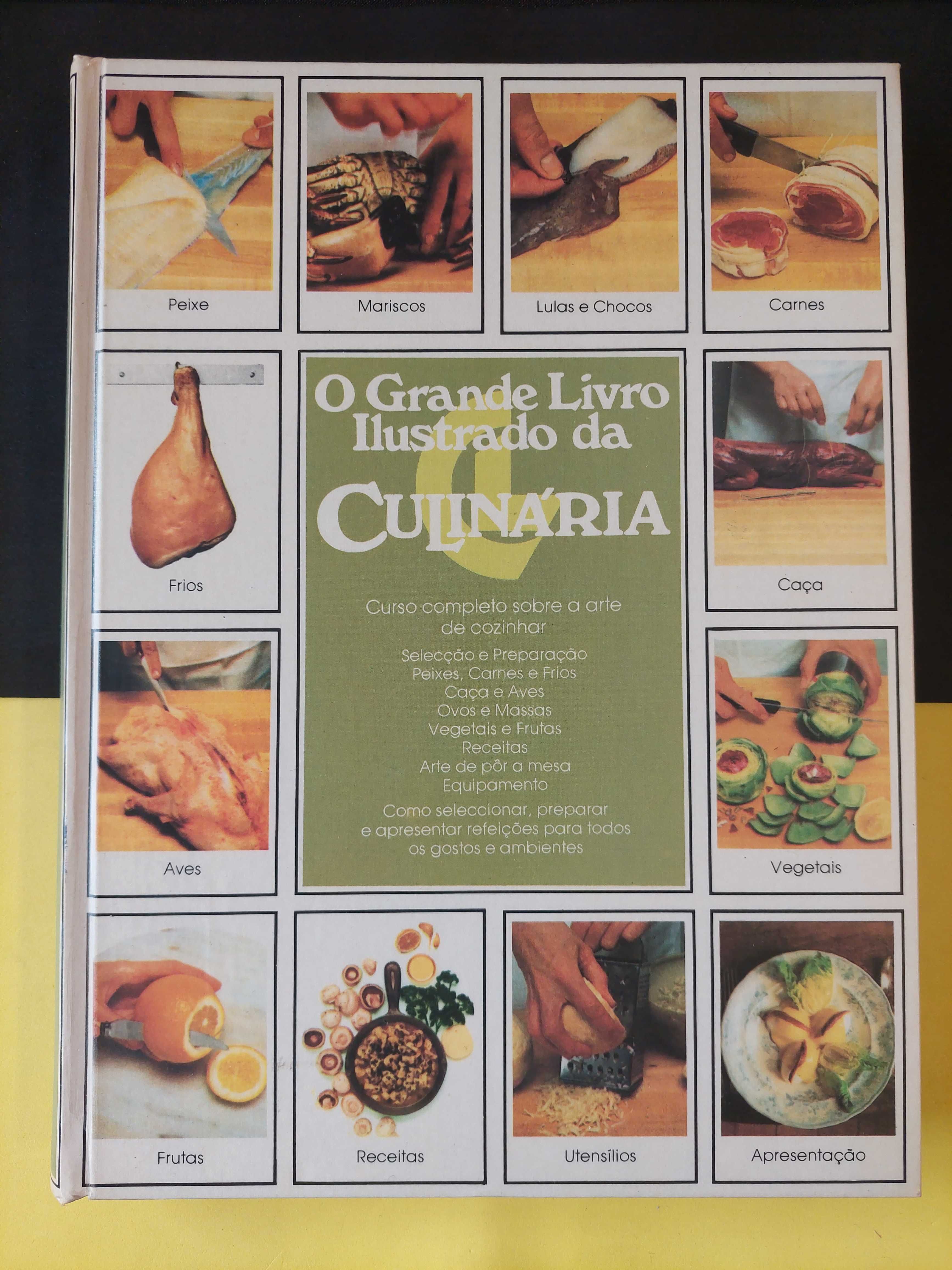 O grande livro ilustrado da culinária