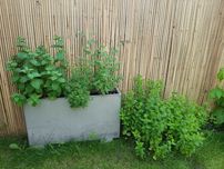 Donica Betonowa Slim 100x20x50 Impregnacja, Różne kolory inne rozmiary