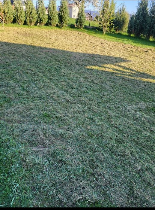 Wynajem / wypożyczę/ wertykulator 110zł