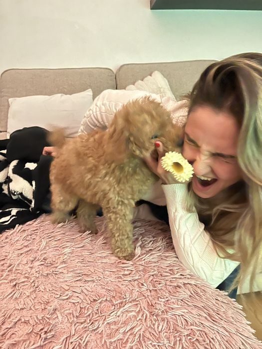 Pet Sitter e Dog Walker/Estadias/Passeios (Lisboa)