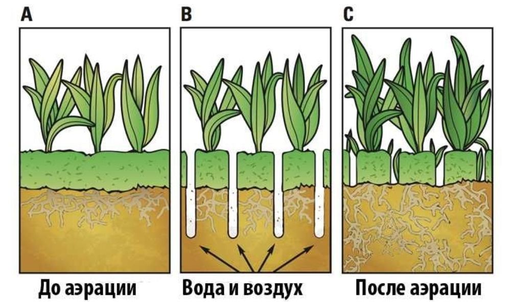 Косіння трави, газону, прибирання території.