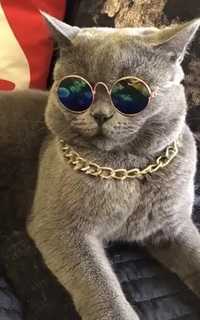 Очки солнцезащитные для котов кошек окуляри
