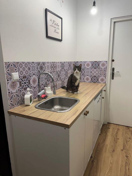 Hostel u Kota Leo ,blisko Starego Rynku