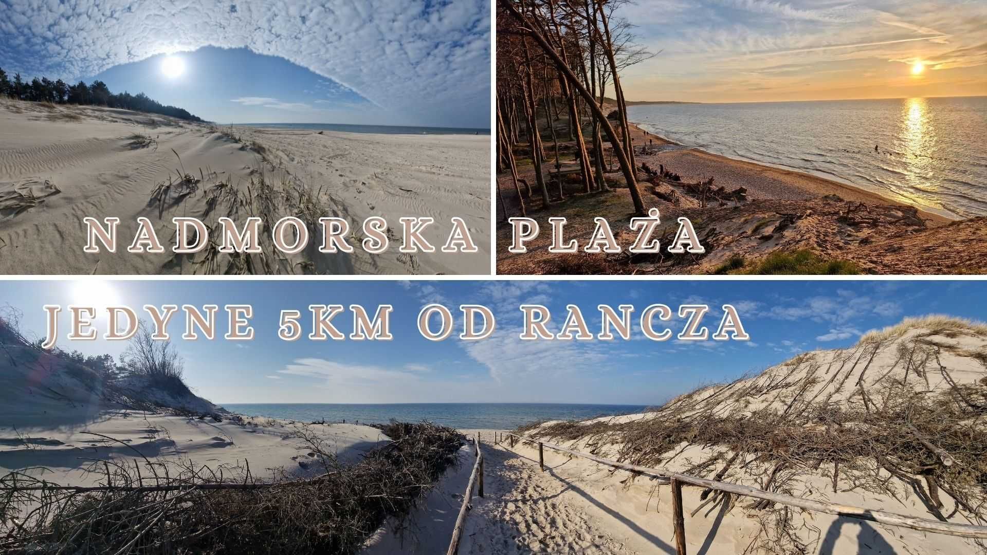 Domki letniskowe nad morzem Ranczo Wodnica, Ustka, Lipiec, Sierpień