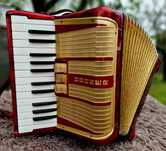 Akordeon Hohner Student - Piękna WIŚNIA!!