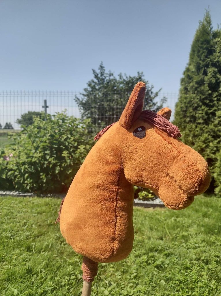 Hobby horse kasztan